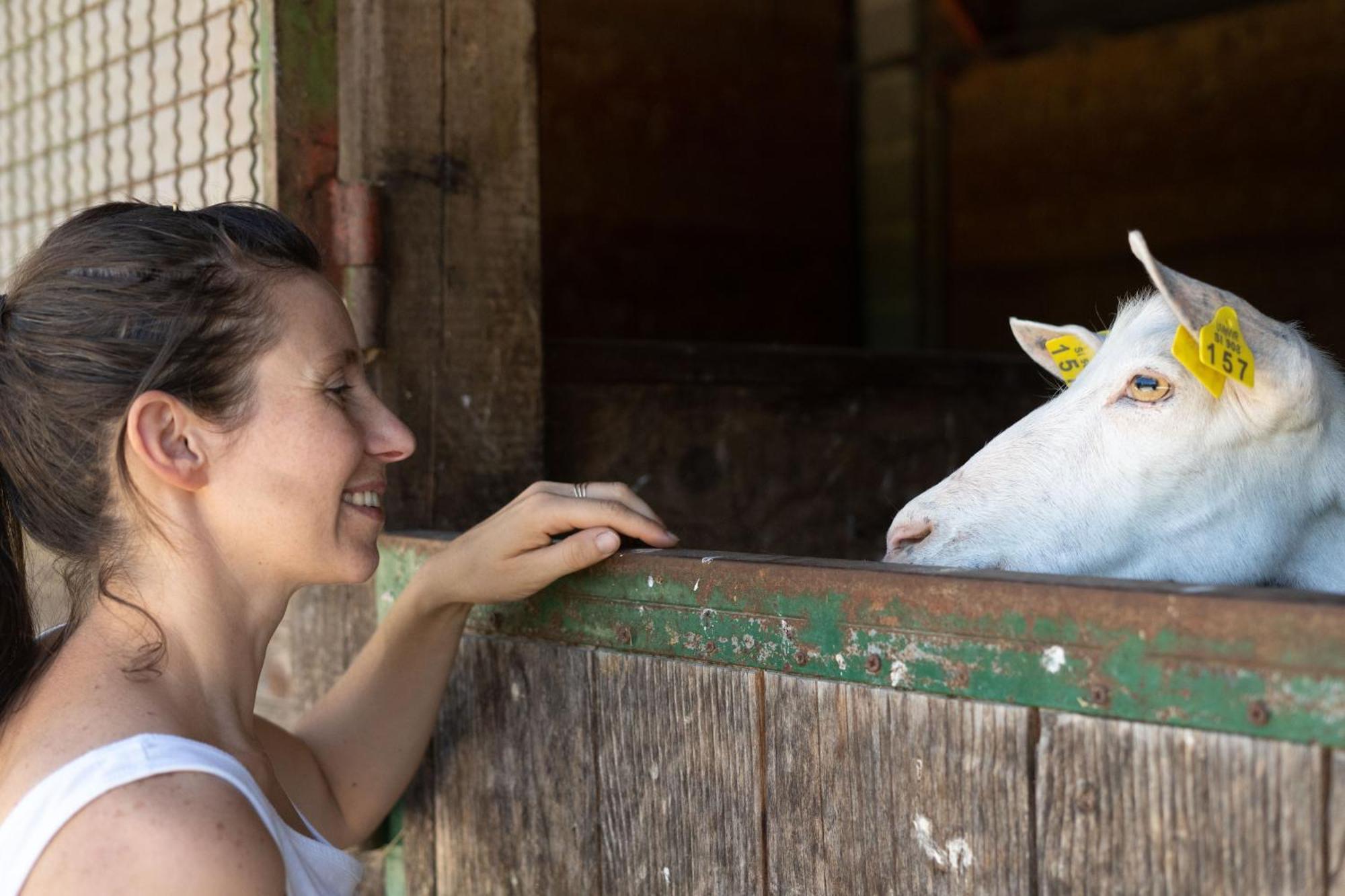 Horse Farm Holiday Pr' Kolenc Згорнье-Горье Экстерьер фото